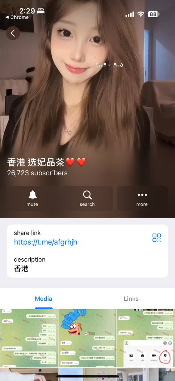 香港 选纪 品茶